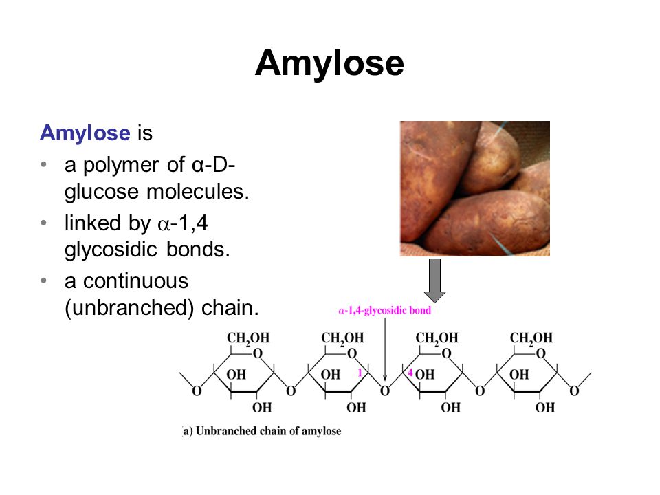 Amylose Amylose is a polymer of α-D- glucose molecules.
