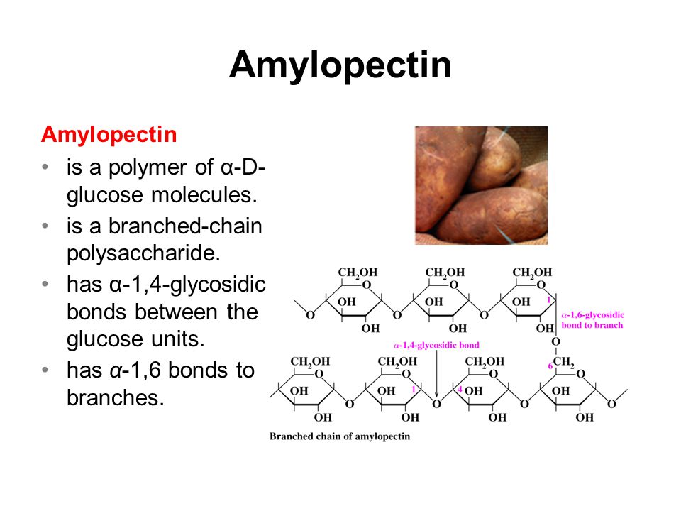 Amylopectin is a polymer of α-D- glucose molecules.