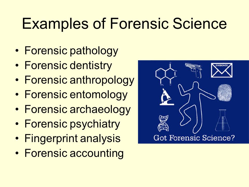 applied genetics forensic science using science to help solve