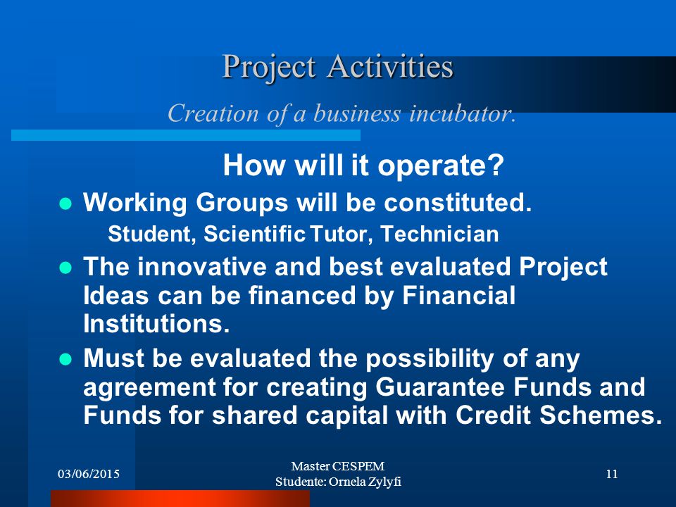 03/06/2015 Master CESPEM Studente: Ornela Zylyfi 11 Project Activities Project Activities Creation of a business incubator.