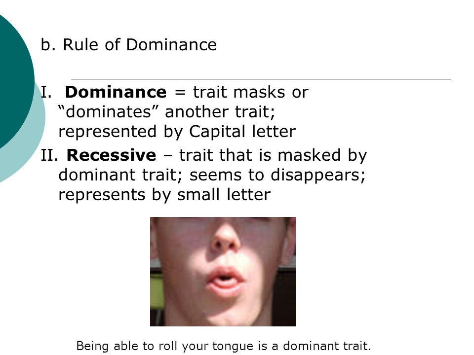 b. Rule of Dominance I.