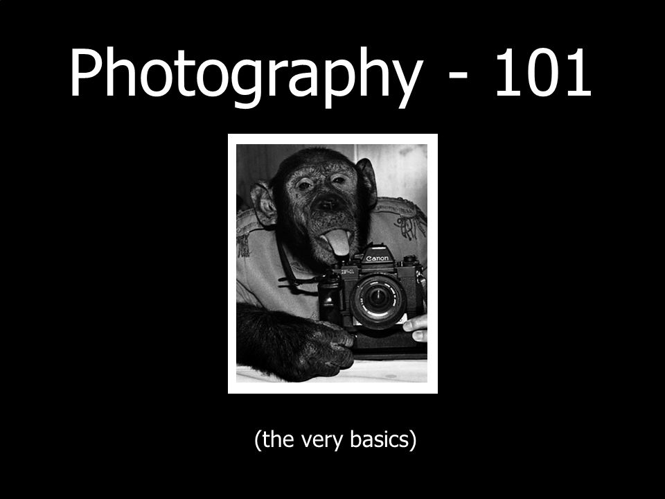 Photography (the very basics)
