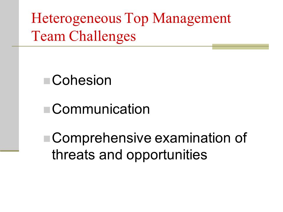 Heterogeneous Top Management Team Challenges Cohesion Communication Comprehensive examination of threats and opportunities