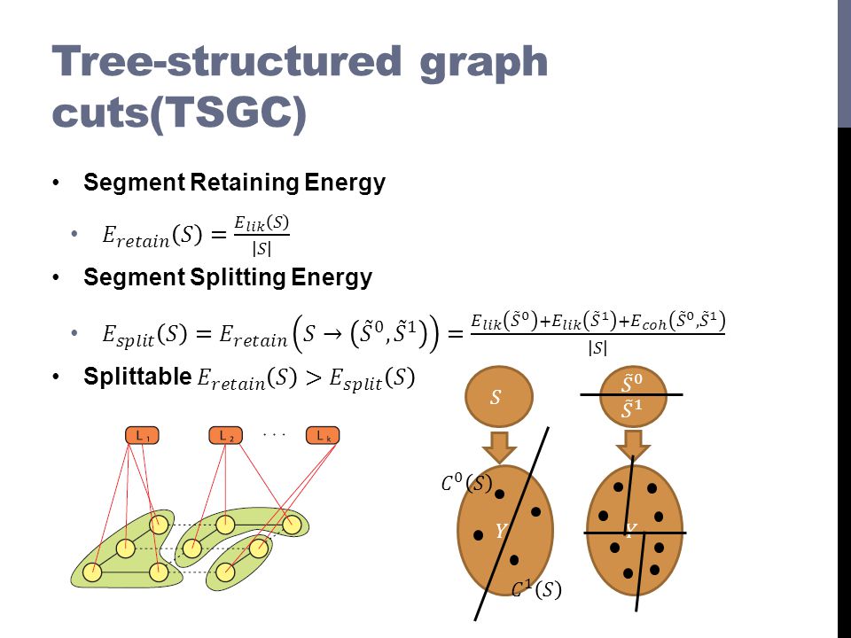 Tree-structured graph cuts(TSGC)