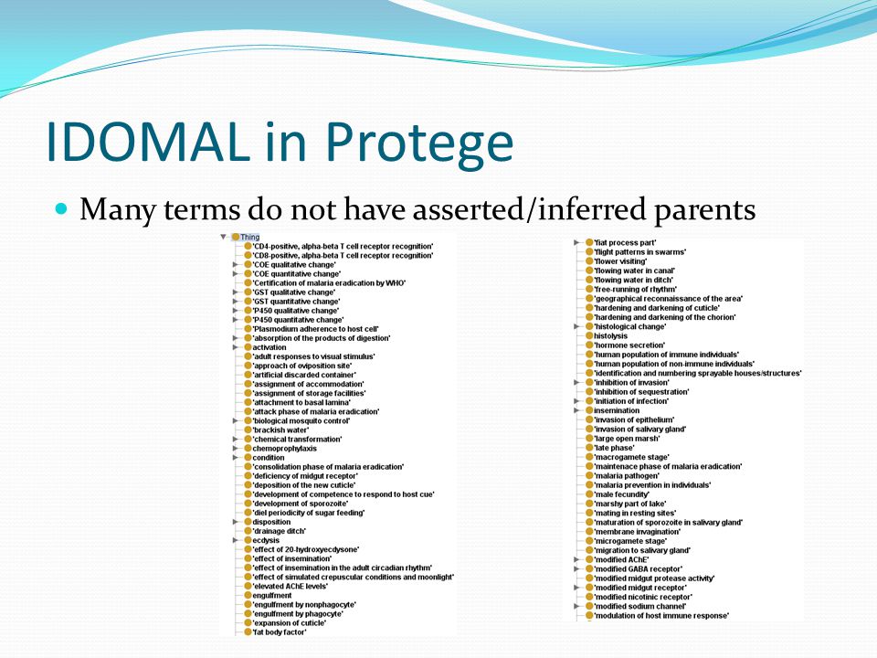 IDOMAL in Protege Many terms do not have asserted/inferred parents