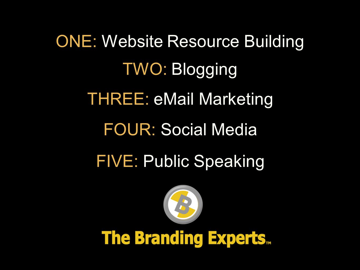 ONE: Website Resource Building TWO: Blogging THREE:  Marketing FOUR: Social Media FIVE: Public Speaking