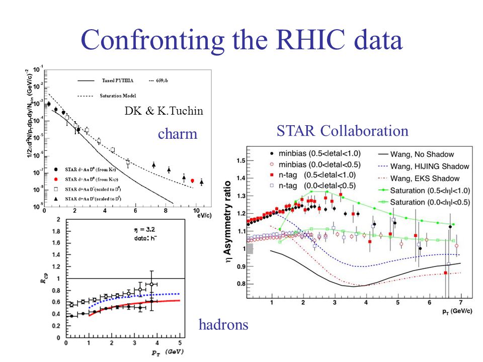 Confronting the RHIC data hadrons charm DK & K.Tuchin STAR Collaboration