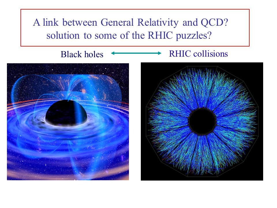 Black holes A link between General Relativity and QCD.