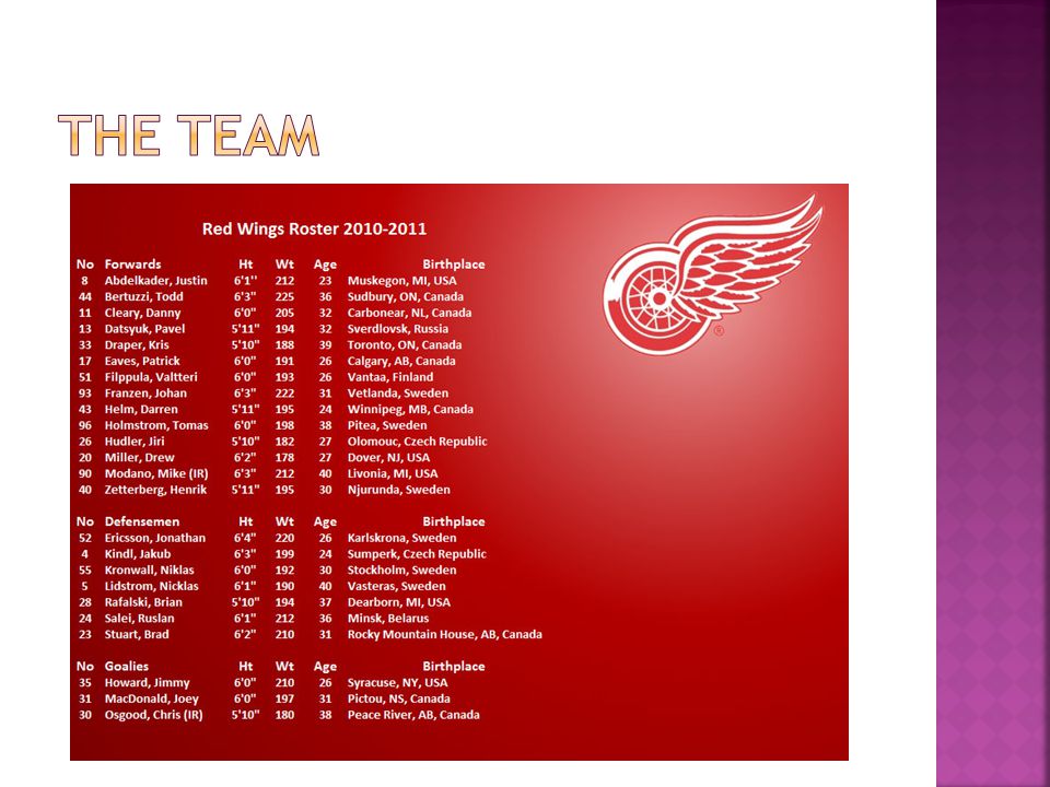  Ever since I was a little girl I have been obsessed with The Red Wings.