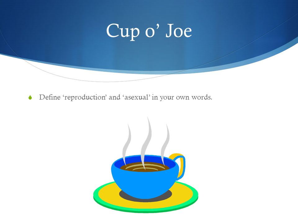 Asexual Reproduction Cup O Joe Define Reproduction And Asexual In Your Own Words Ppt Download