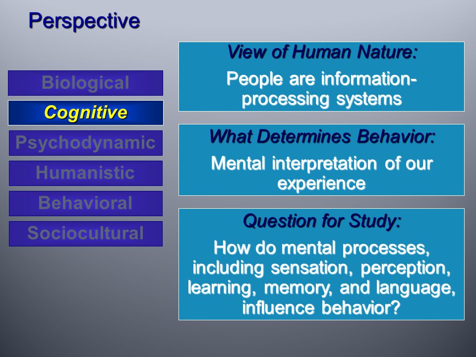 View of Human Nature: People are information- processing systems What Determines Behavior: Mental interpretation of our experience Question for Study: How do mental processes, including sensation, perception, learning, memory, and language, influence behavior.