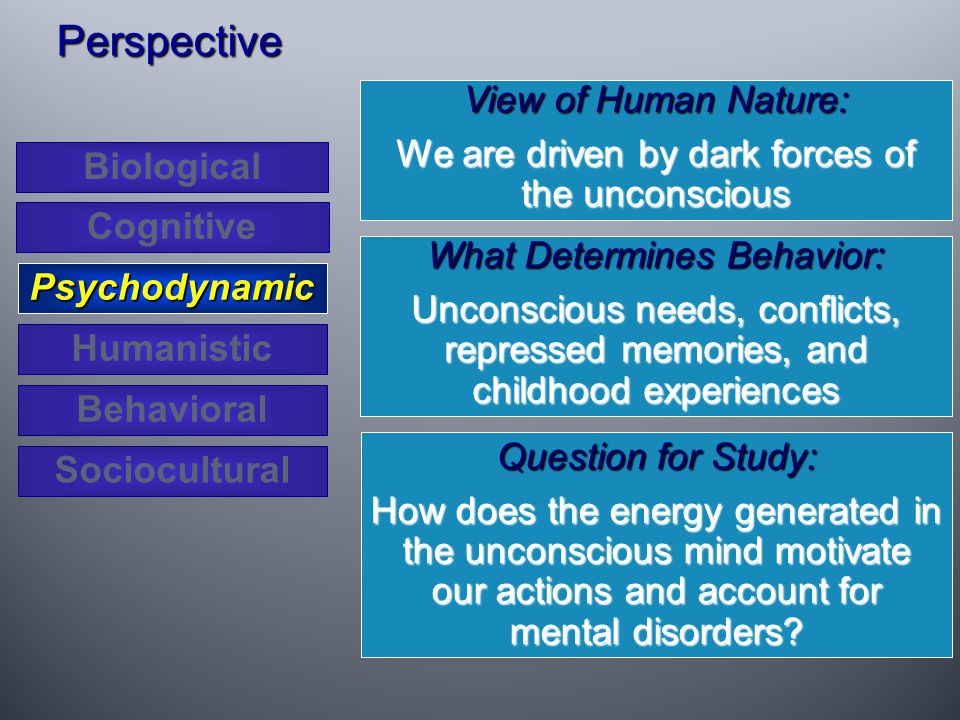 View of Human Nature: We are driven by dark forces of the unconscious Perspective What Determines Behavior: Unconscious needs, conflicts, repressed memories, and childhood experiences Question for Study: How does the energy generated in the unconscious mind motivate our actions and account for mental disorders.