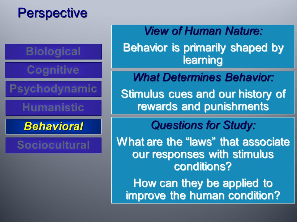 View of Human Nature: Behavior is primarily shaped by learning Perspective What Determines Behavior: Stimulus cues and our history of rewards and punishments Questions for Study: What are the laws that associate our responses with stimulus conditions.