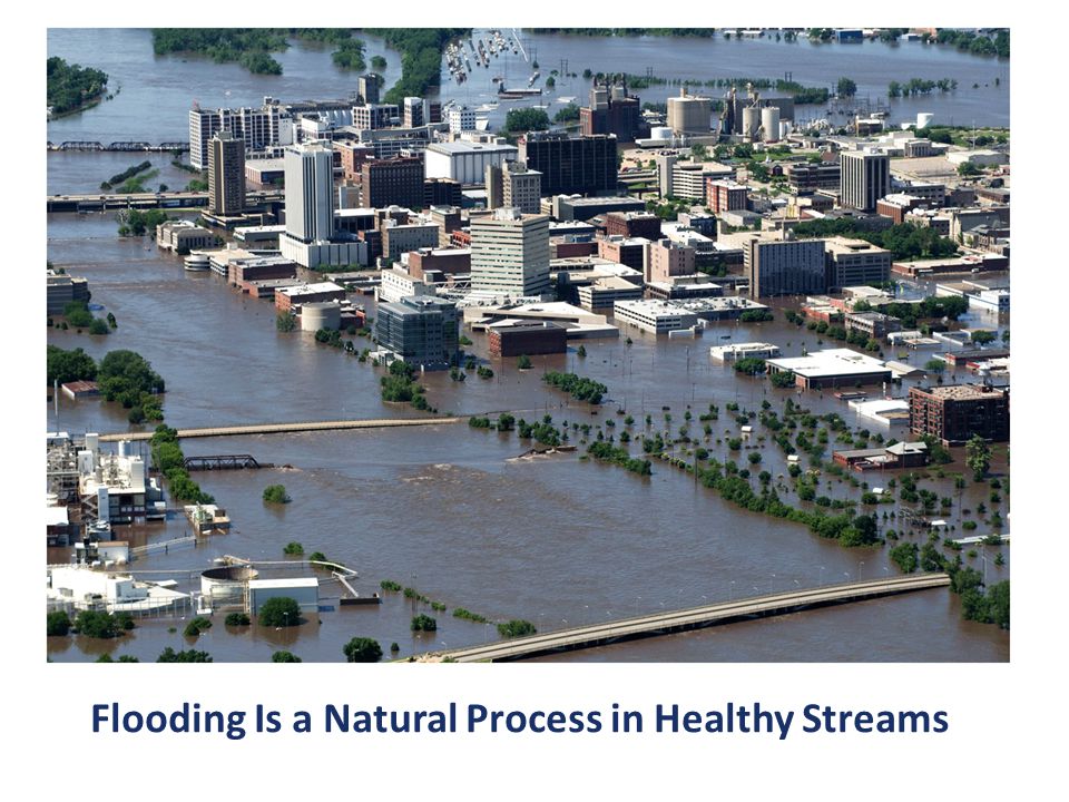 Flooding Is a Natural Process in Healthy Streams