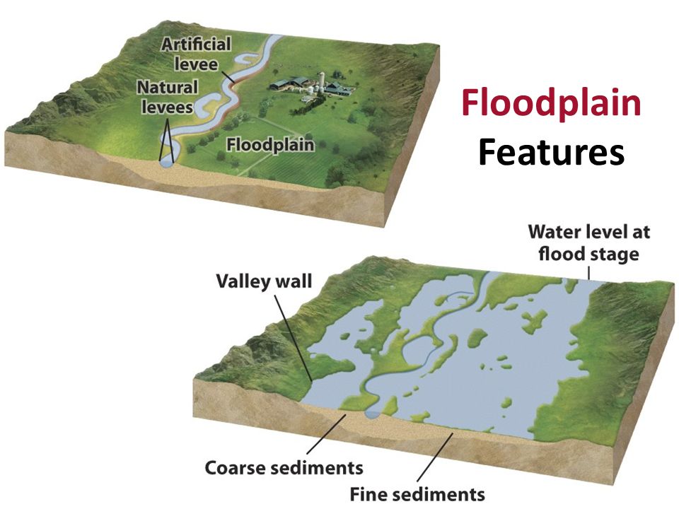 Floodplain Features