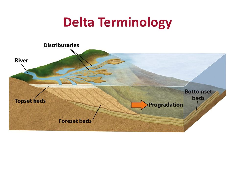 Delta Terminology