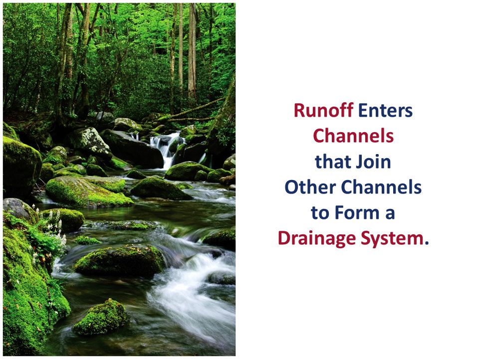 Runoff Enters Channels that Join Other Channels to Form a Drainage System.