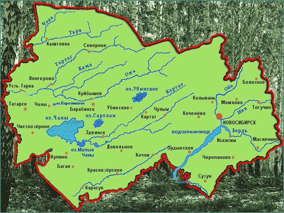 Где расположен город новосибирск. Карта Новосибирской области с населенными пунктами. Карта НСО Новосибирской области реки. Географическая карта Новосибирской области. Реки Новосибирской области на карте.