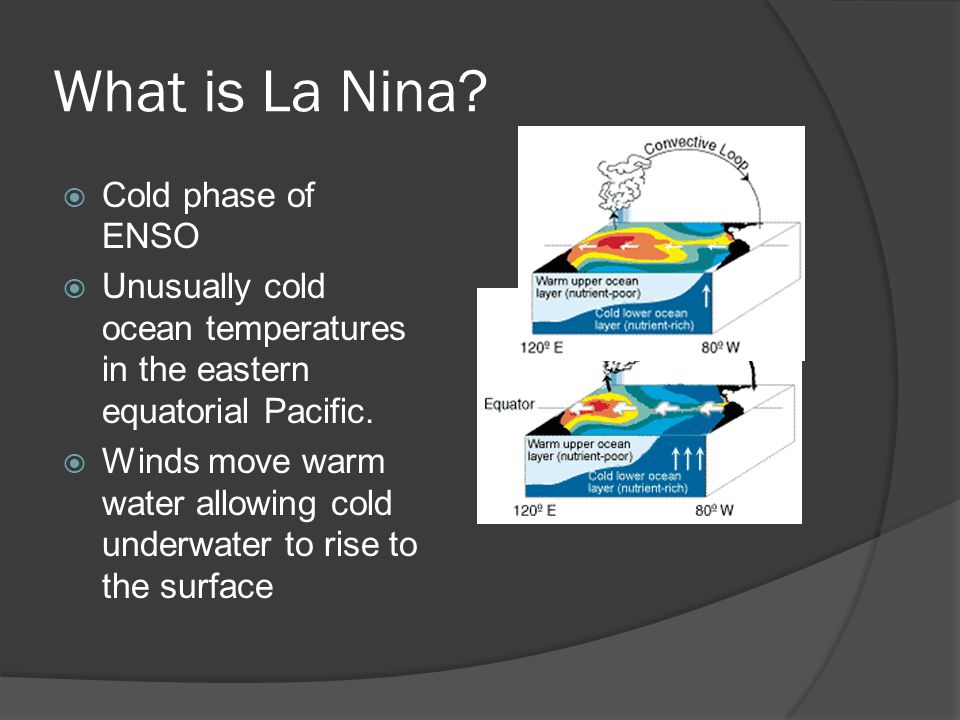 Shanese Breitkreitz Meaning La Nina The Little Girl El Viejo Old Man A Cold Event A Cold Episode Ppt Download