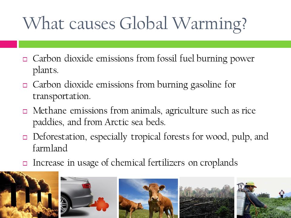 What causes Global Warming.  Carbon dioxide emissions from fossil fuel burning power plants.