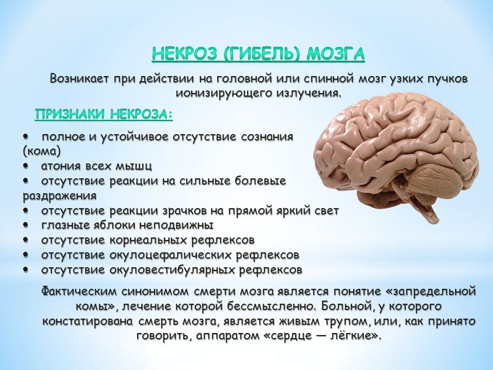 Атрофия мозга симптомы. Органическое поражение мозга. Атрофия больших полушарий.