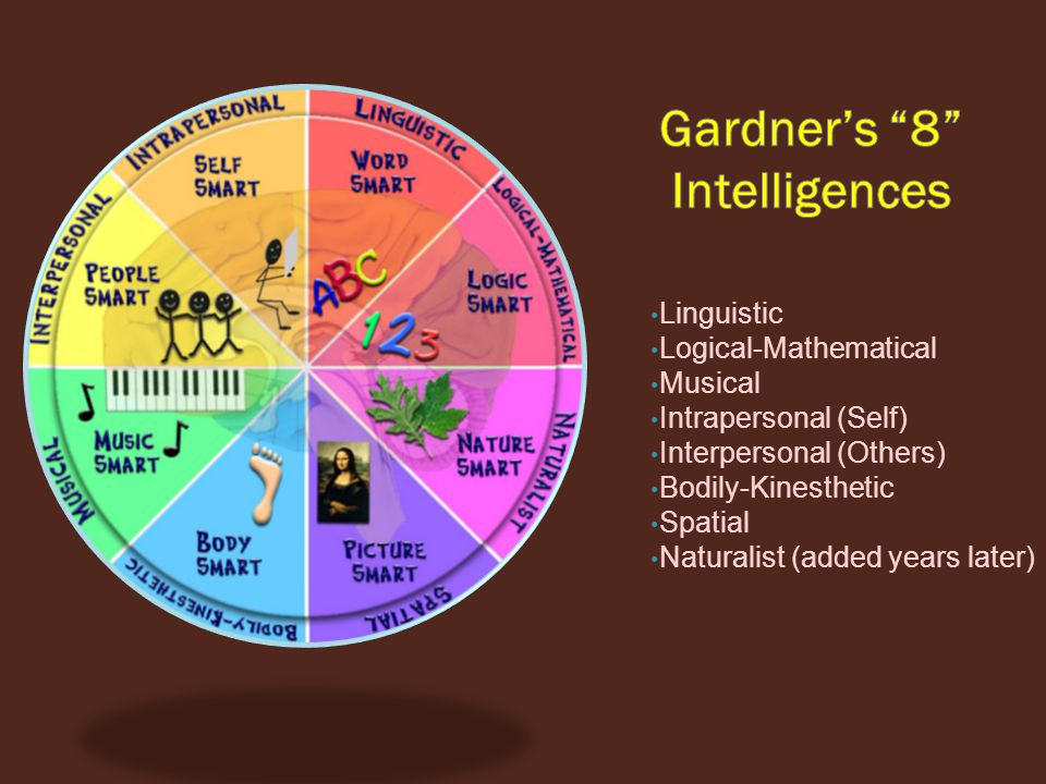 howard gardner s multiple intelligence theory who is howard gardner