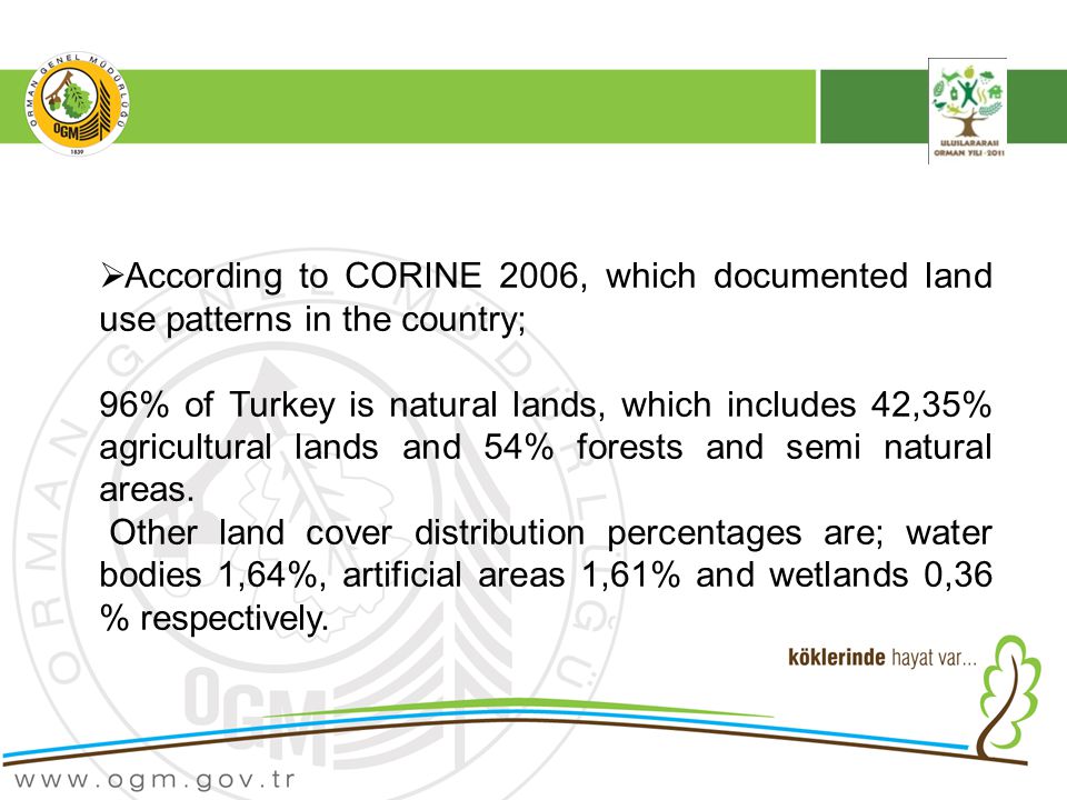  According to CORINE 2006, which documented land use patterns in the country; 96% of Turkey is natural lands, which includes 42,35% agricultural lands and 54% forests and semi natural areas.