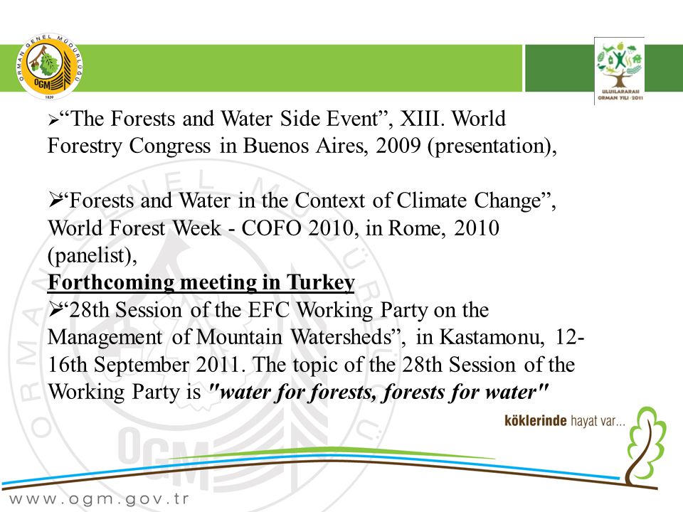  The Forests and Water Side Event , XIII.
