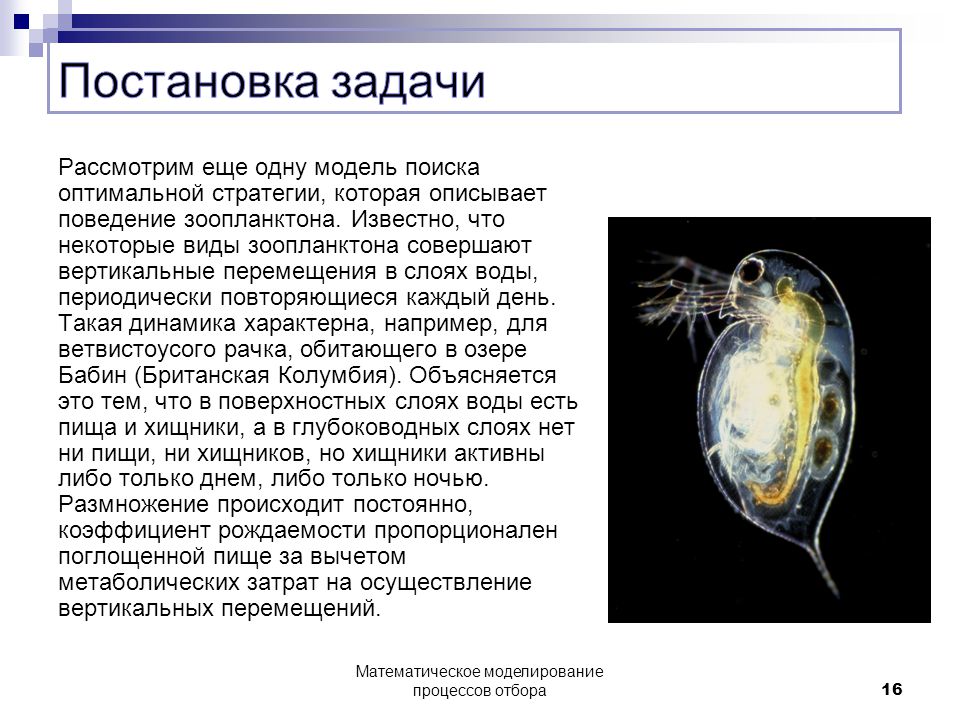 Численность зоопланктона