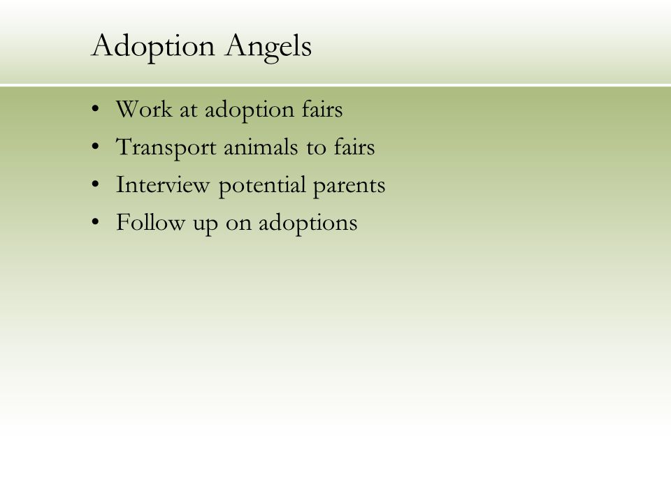 Adoption Angels Work at adoption fairs Transport animals to fairs Interview potential parents Follow up on adoptions