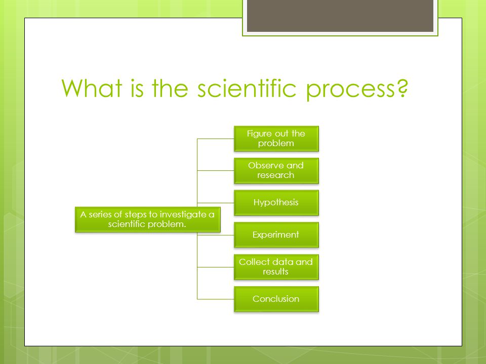 Scientific Process By: Mallory McGilvray