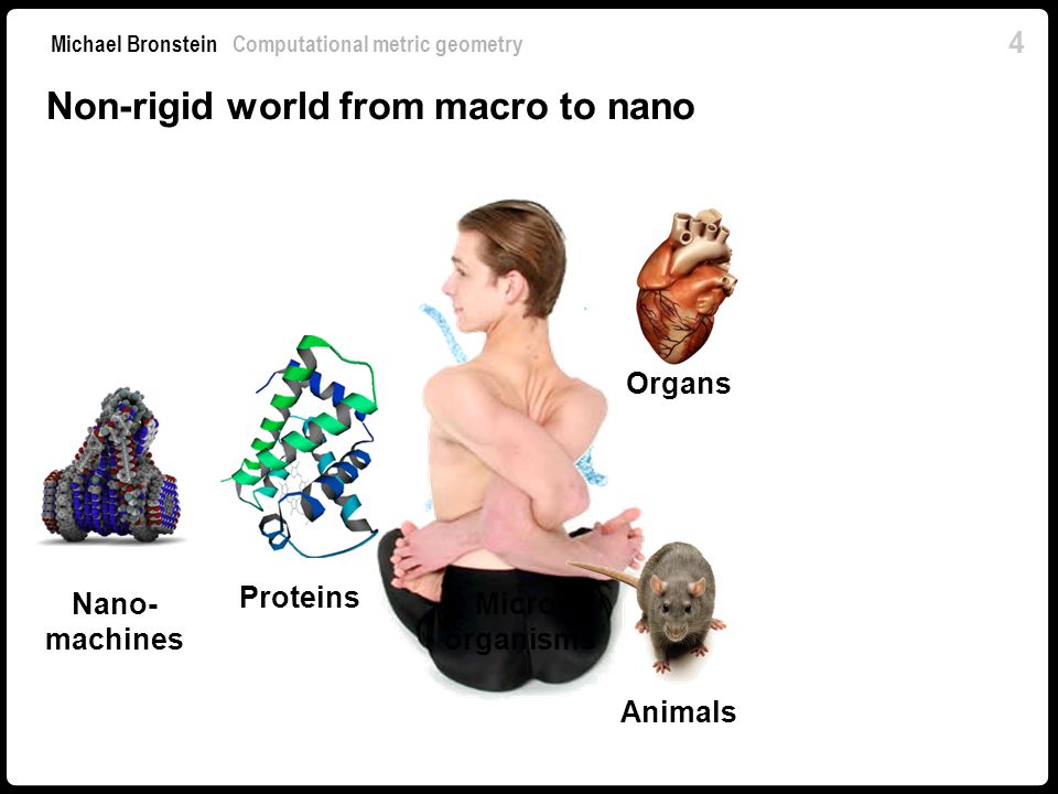 Michael M. Bronstein · Geometric Deep Learning for computational protein  design · SlidesLive