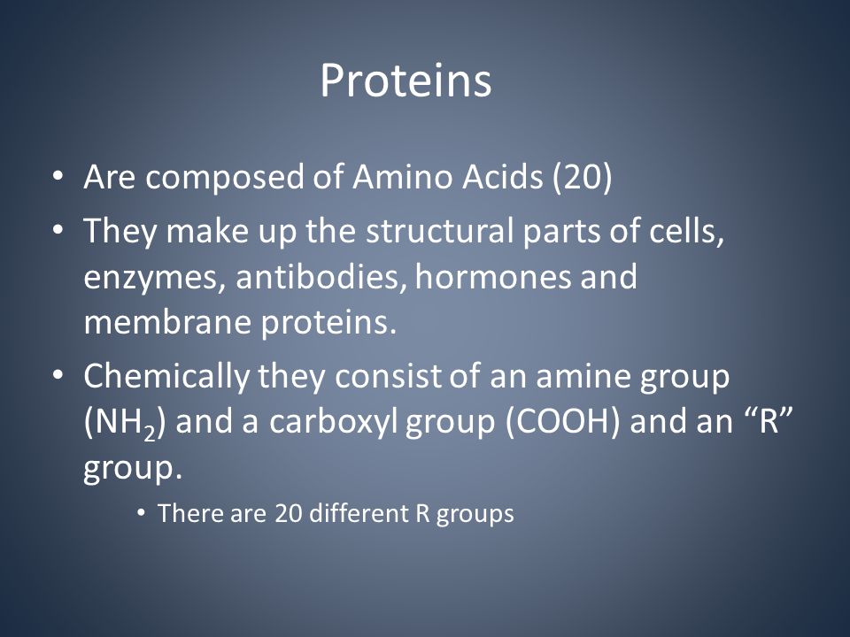 Proteins Are composed of Amino Acids (20) They make up the structural parts of cells, enzymes, antibodies, hormones and membrane proteins.