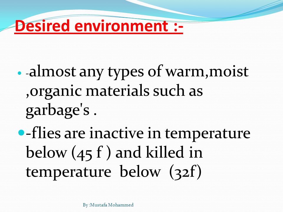 Desired environment :- - almost any types of warm,moist,organic materials such as garbage s.