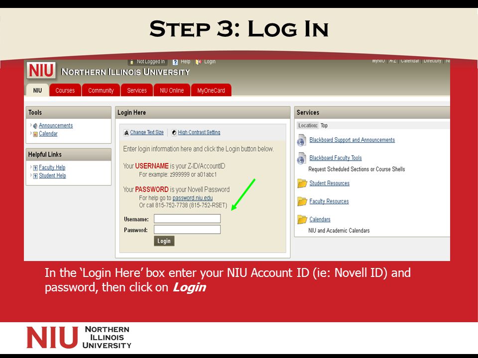 Step 3: Log In In the ‘Login Here’ box enter your NIU Account ID (ie: Novell ID) and password, then click on Login