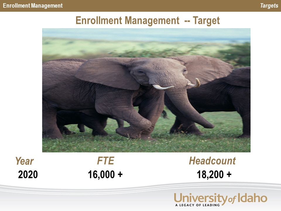 Enrollment Management Targets Enrollment Management -- Target 16, , FTEHeadcountYear