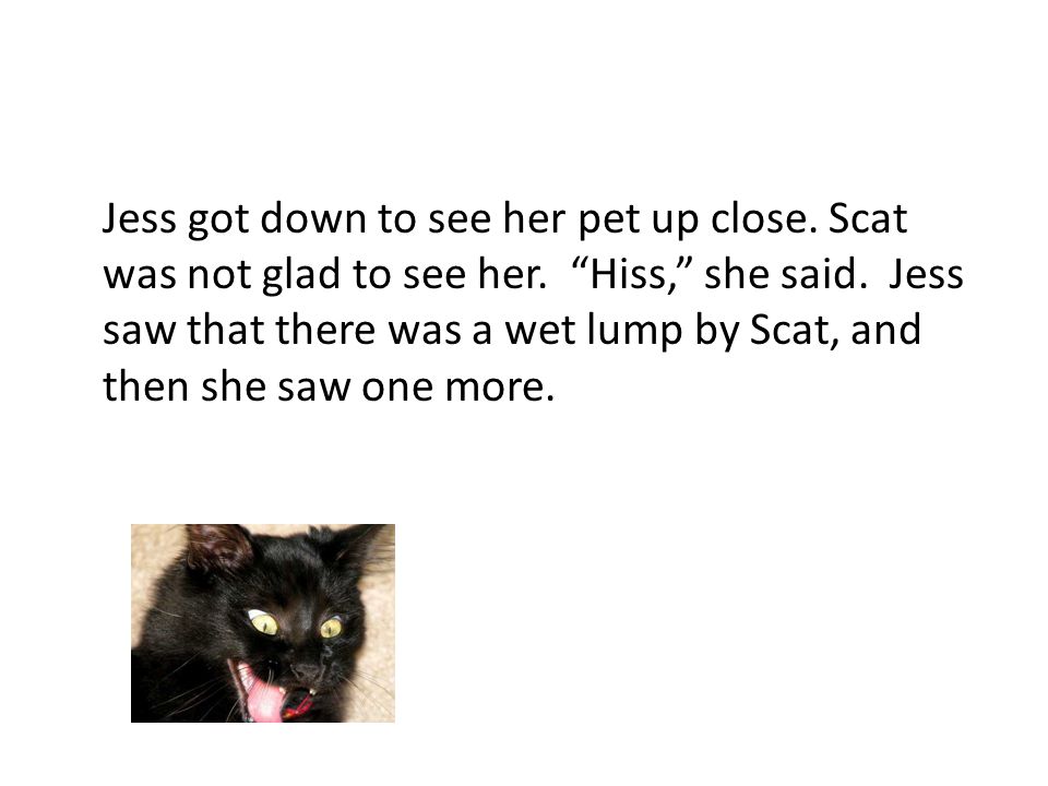 Jess got down to see her pet up close. Scat was not glad to see her.