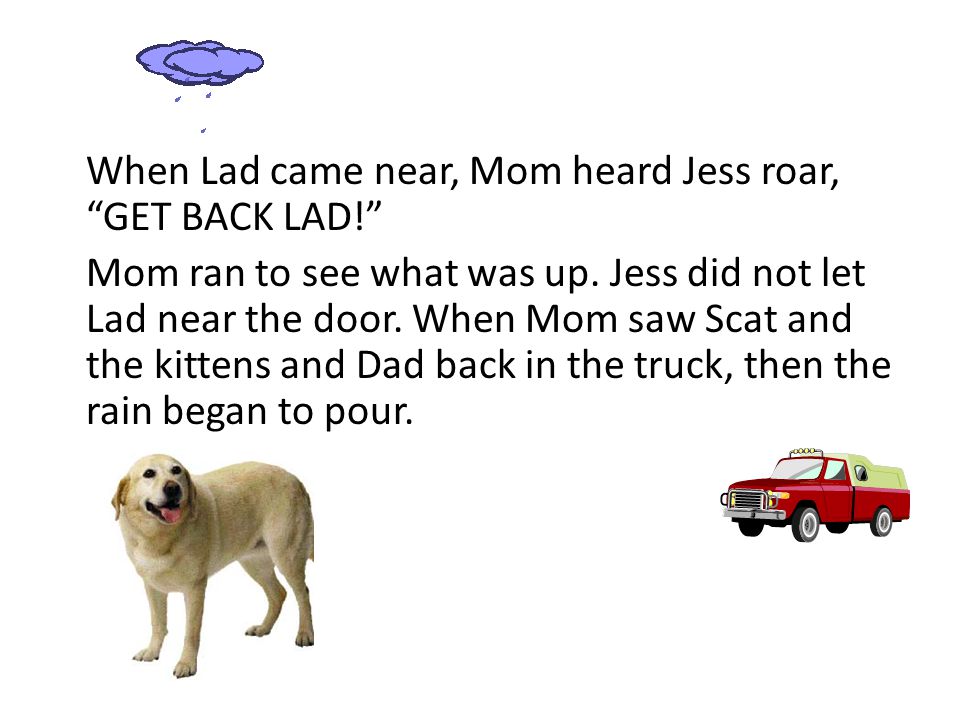When Lad came near, Mom heard Jess roar, GET BACK LAD! Mom ran to see what was up.