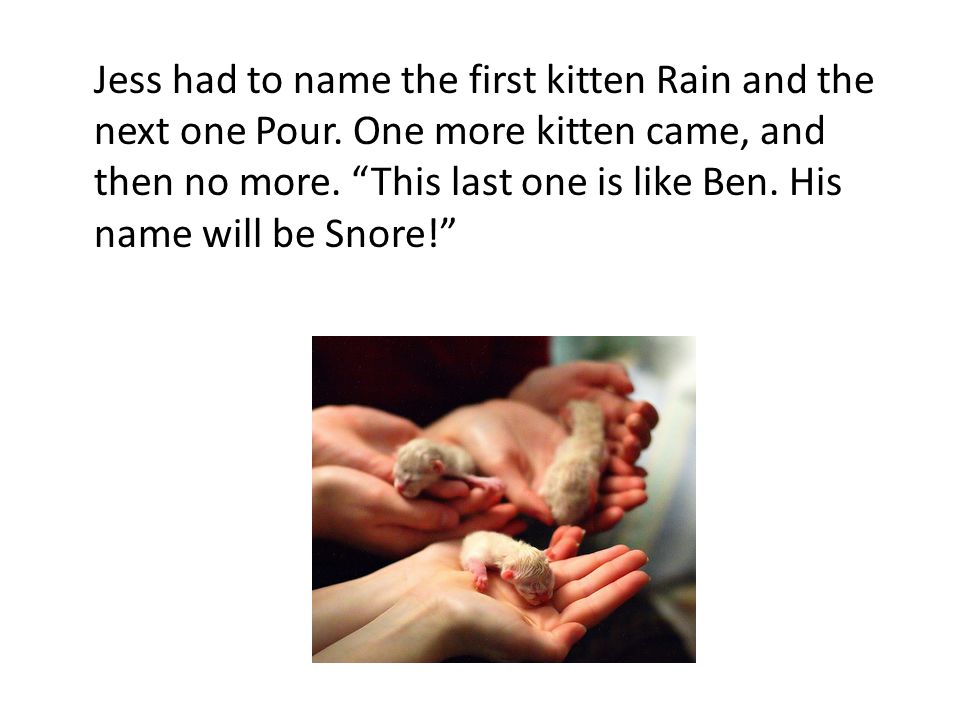 Jess had to name the first kitten Rain and the next one Pour.
