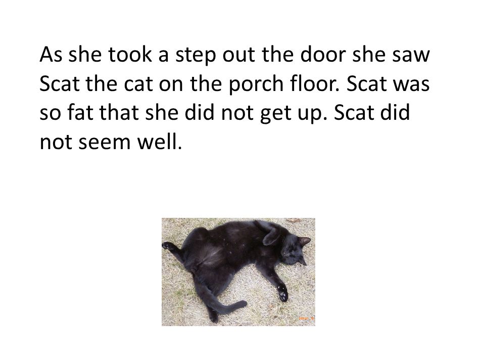 As she took a step out the door she saw Scat the cat on the porch floor.