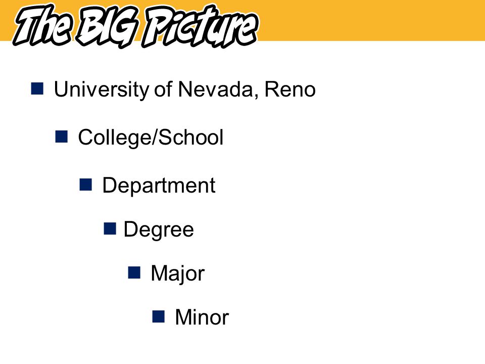 exploring business majors choosing