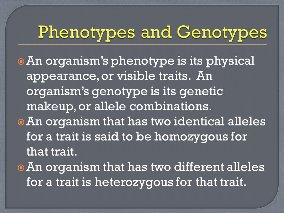  An organism’s phenotype is its physical appearance, or visible traits.