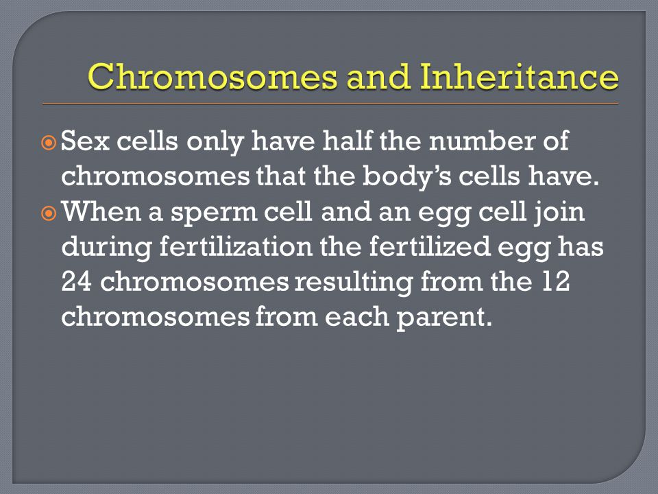  Sex cells only have half the number of chromosomes that the body’s cells have.