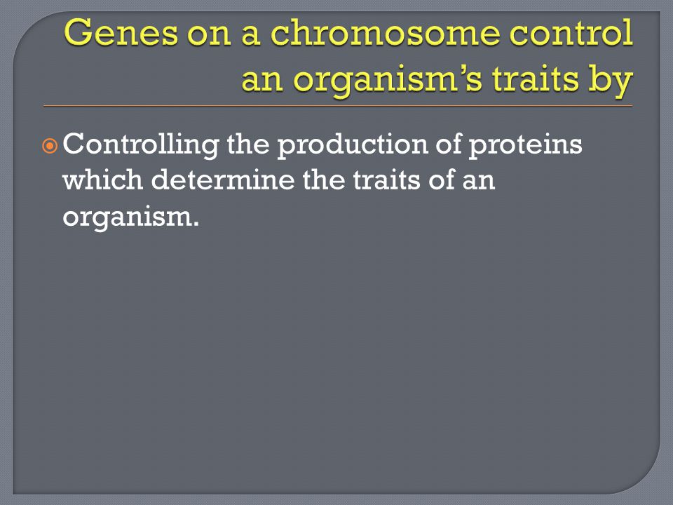  Controlling the production of proteins which determine the traits of an organism.