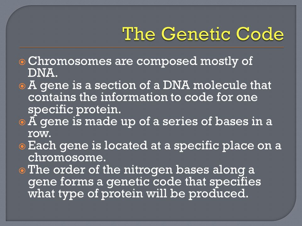  Chromosomes are composed mostly of DNA.