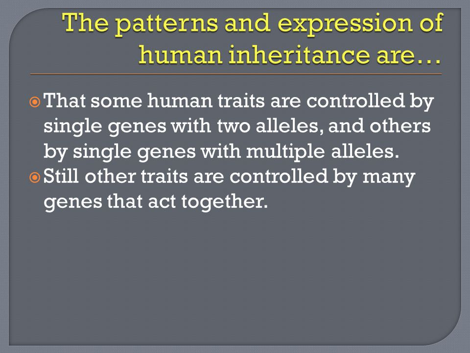  That some human traits are controlled by single genes with two alleles, and others by single genes with multiple alleles.