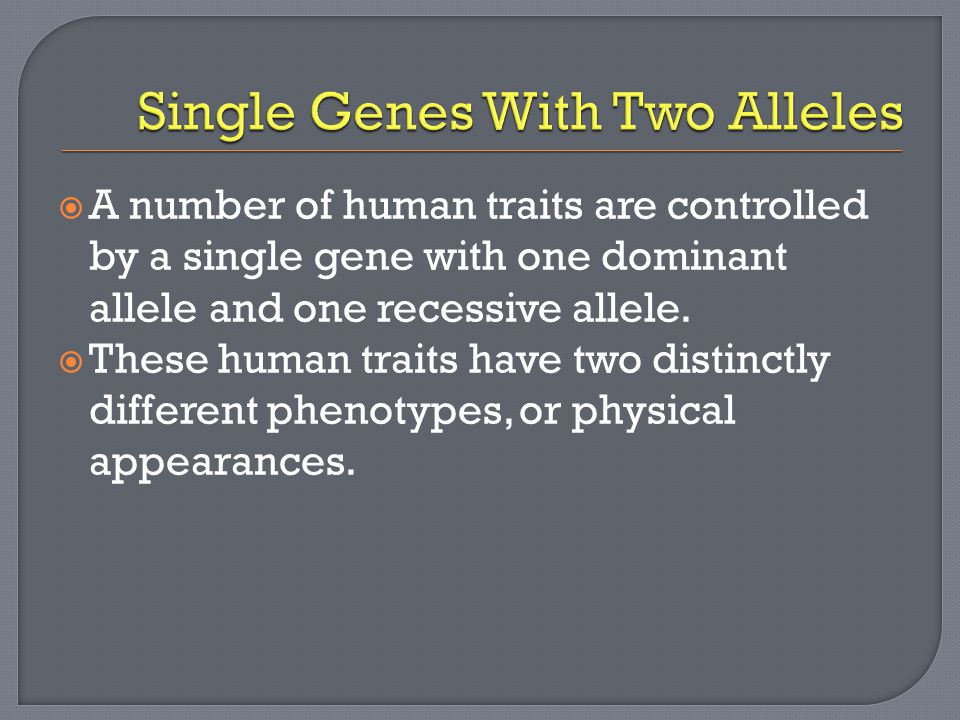  A number of human traits are controlled by a single gene with one dominant allele and one recessive allele.