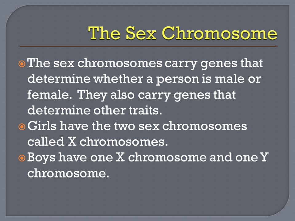  The sex chromosomes carry genes that determine whether a person is male or female.