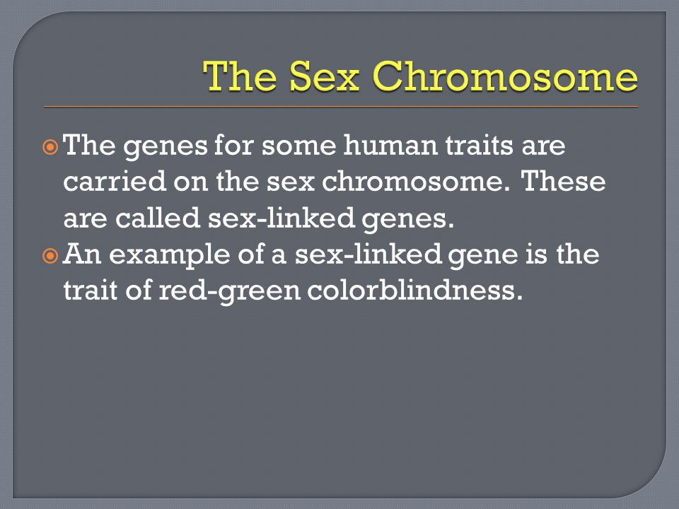 The genes for some human traits are carried on the sex chromosome.
