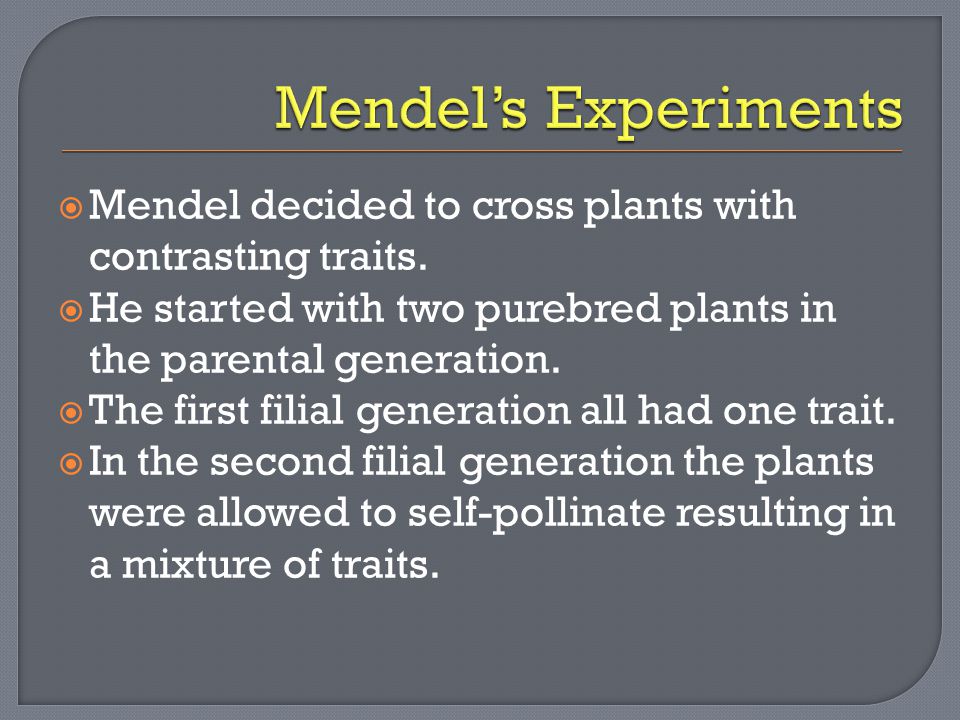 Mendel decided to cross plants with contrasting traits.